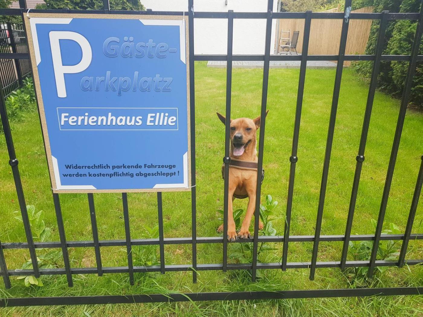 Ferienhaus Ellie ฮัฟฟ์ครูก ภายนอก รูปภาพ